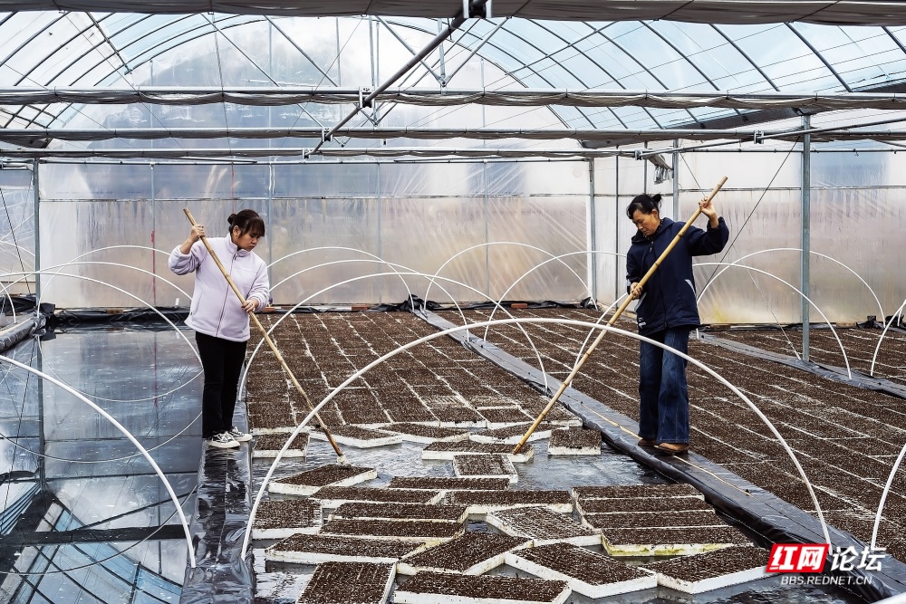 nEO_IMG_微信图片_20251231124912_16_3043.jpg nEO_IMG_微信图片_20251231124912_16_3043.jpg