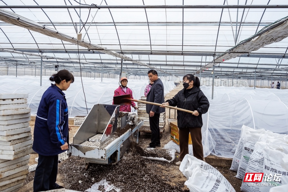 nEO_IMG_微信图片_20251231124927_18_3043.jpg nEO_IMG_微信图片_20251231124927_18_3043.jpg