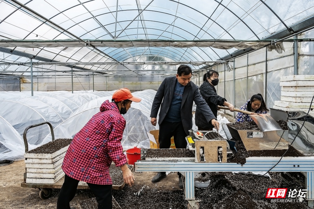 nEO_IMG_微信图片_20251231124851_13_3043.jpg nEO_IMG_微信图片_20251231124851_13_3043.jpg