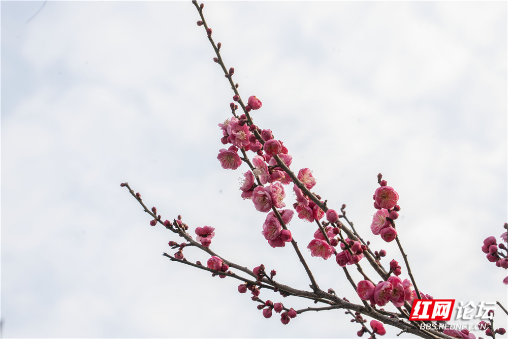 _DSC1821 拷贝.jpg _DSC1821 拷贝.jpg