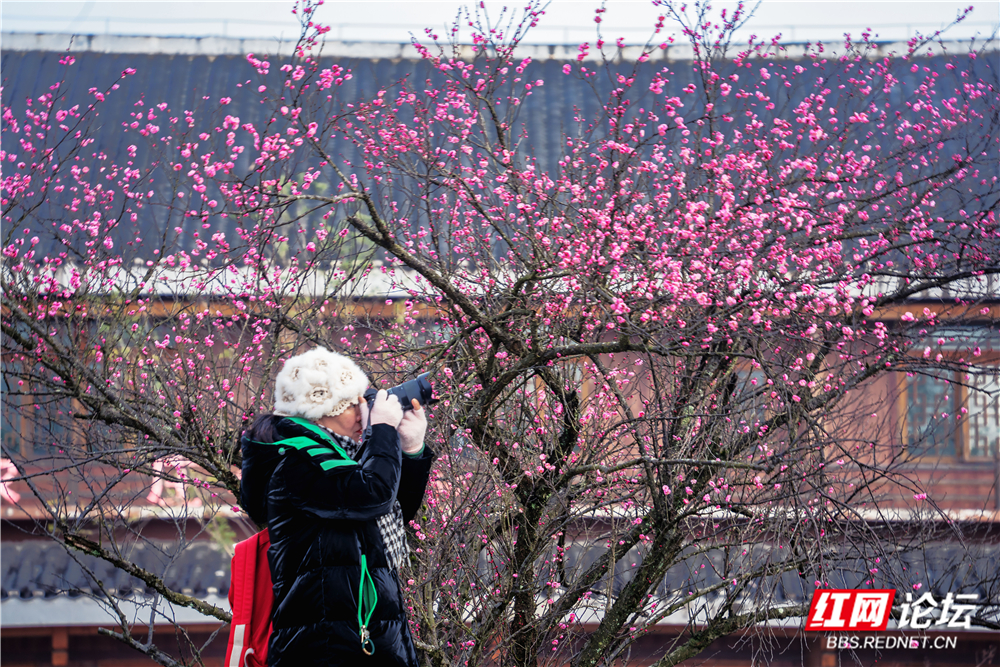 _DSC1581 拷贝.jpg _DSC1581 拷贝.jpg