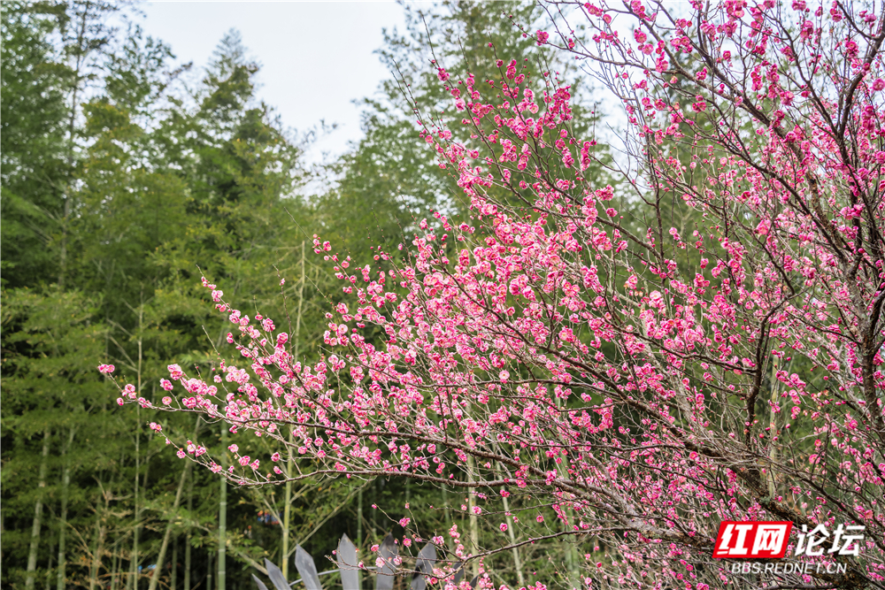 _DSC1628 拷贝.jpg _DSC1628 拷贝.jpg