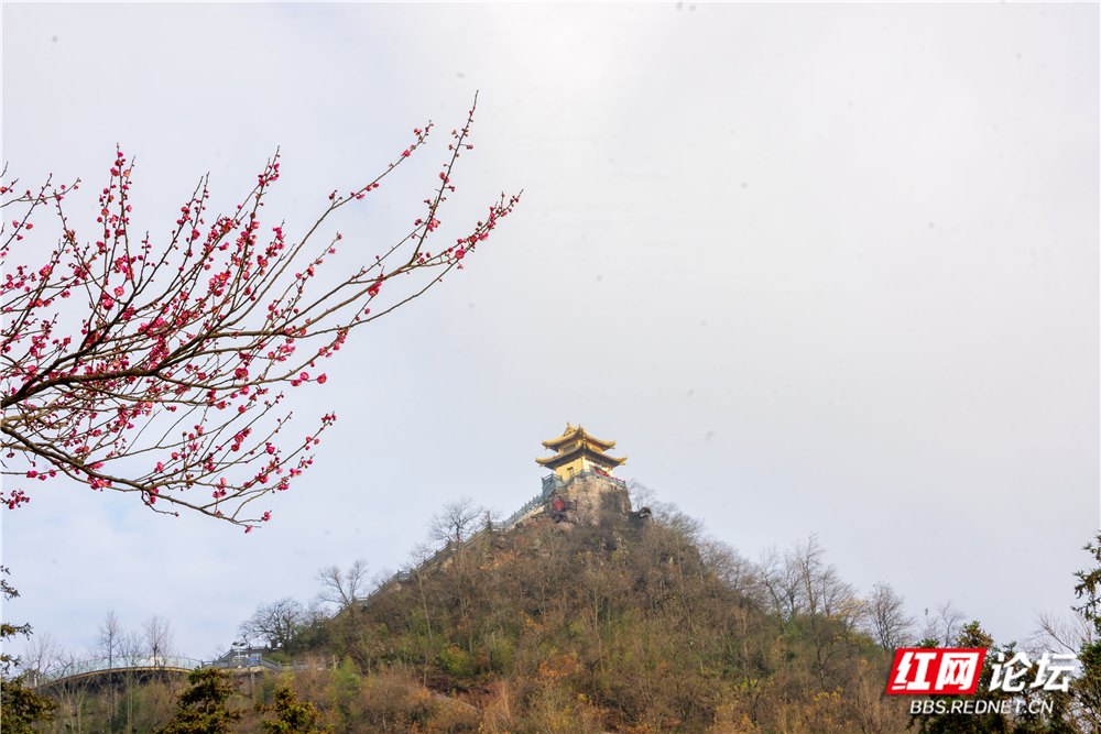 _DSC1936 拷贝.jpg _DSC1936 拷贝.jpg