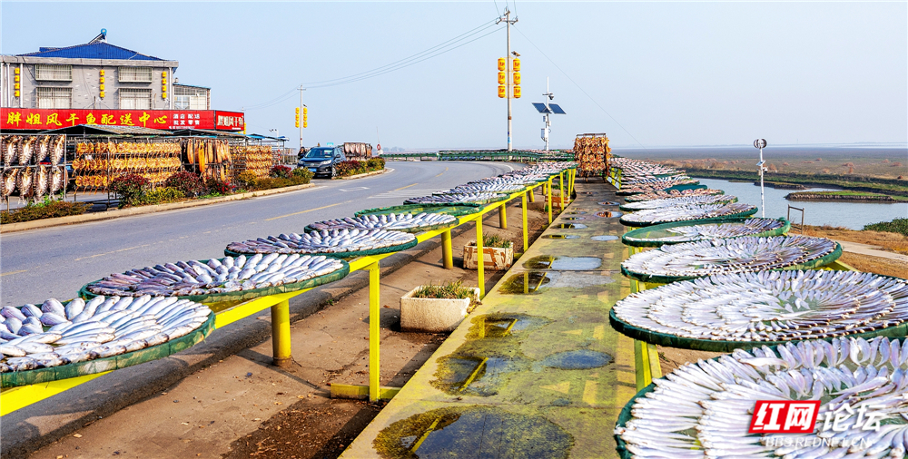 nEO_IMG_微信图片_20260106224814_130_2257.jpg nEO_IMG_微信图片_20260106224814_130_2257.jpg