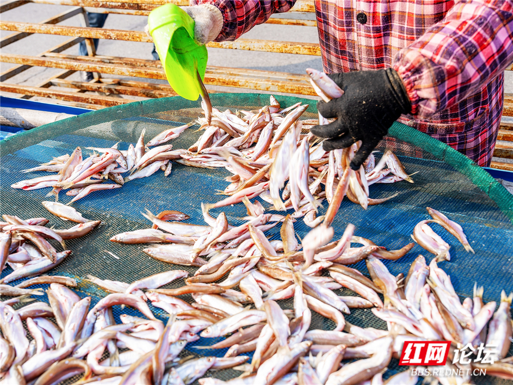 nEO_IMG_微信图片_20260106224752_127_2257.jpg nEO_IMG_微信图片_20260106224752_127_2257.jpg