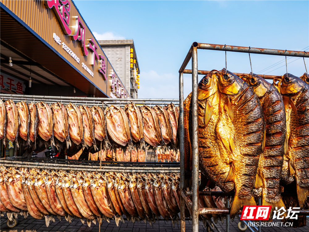 nEO_IMG_微信图片_20260106224719_122_2257.jpg nEO_IMG_微信图片_20260106224719_122_2257.jpg