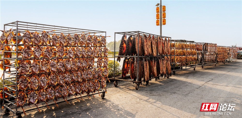 nEO_IMG_微信图片_20260106224713_121_2257.jpg nEO_IMG_微信图片_20260106224713_121_2257.jpg