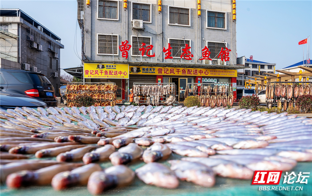 nEO_IMG_微信图片_20260106224807_129_2257.jpg nEO_IMG_微信图片_20260106224807_129_2257.jpg