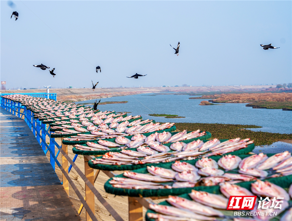 nEO_IMG_微信图片_20260106224739_125_2257.jpg nEO_IMG_微信图片_20260106224739_125_2257.jpg