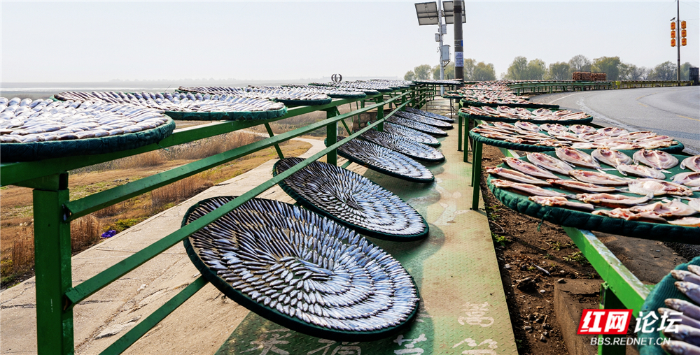 nEO_IMG_微信图片_20260106224640_117_2257.jpg nEO_IMG_微信图片_20260106224640_117_2257.jpg