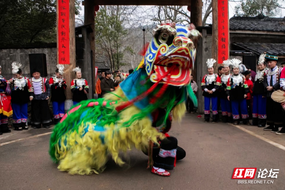 nEO_IMG_3. 昂首纳福.jpg