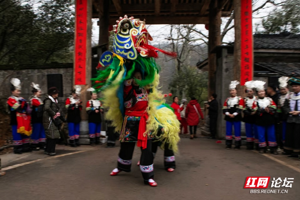 nEO_IMG_6. 凌空啸春.jpg