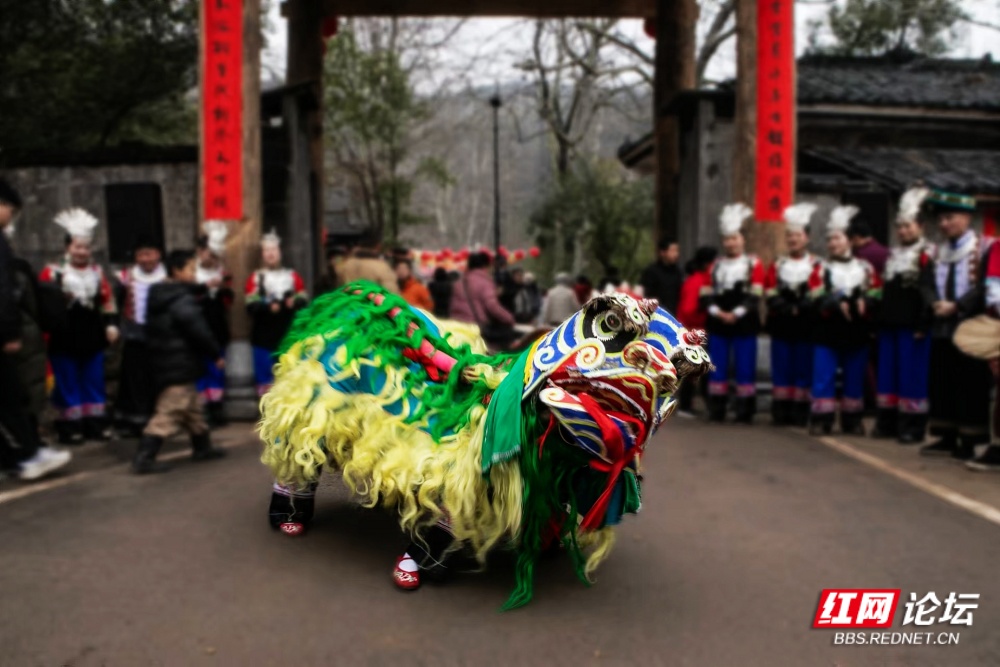 nEO_IMG_5. 俯身探瑞.jpg