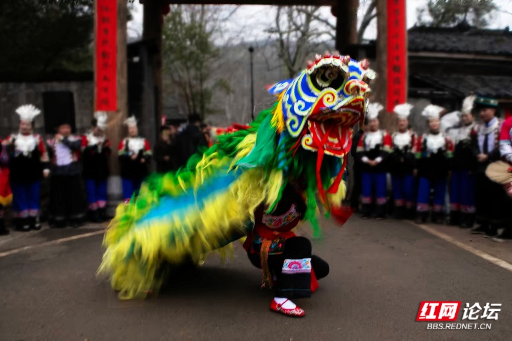 nEO_IMG_4. 彩鬃旋舞.jpg