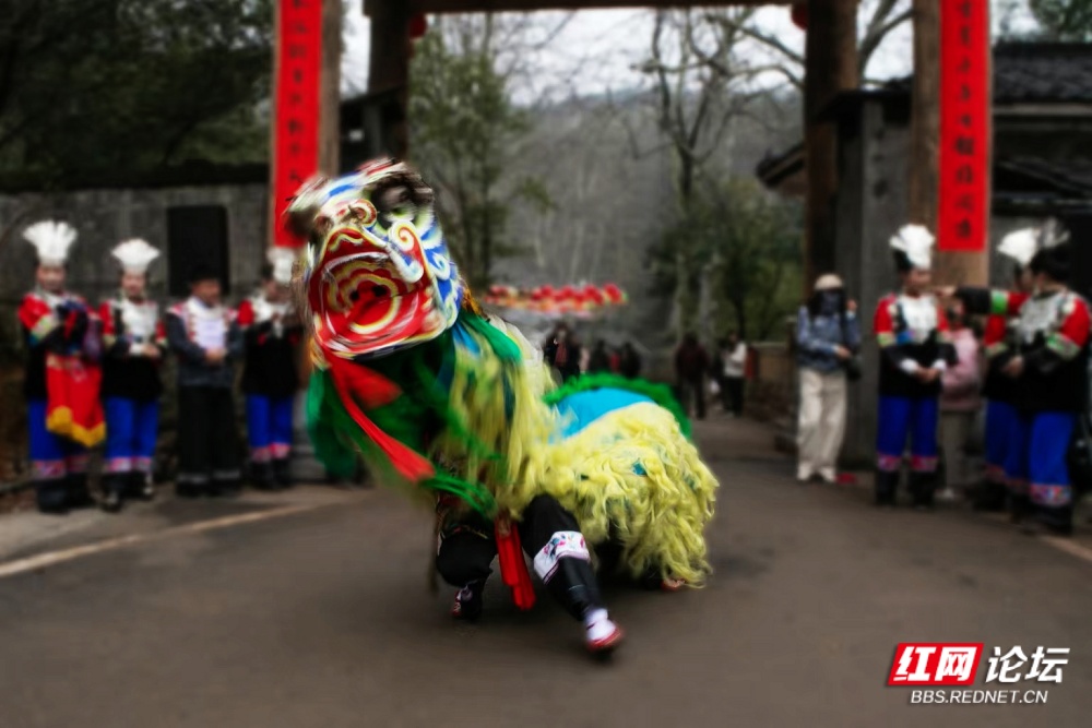 nEO_IMG_2. 腾跃破风.jpg