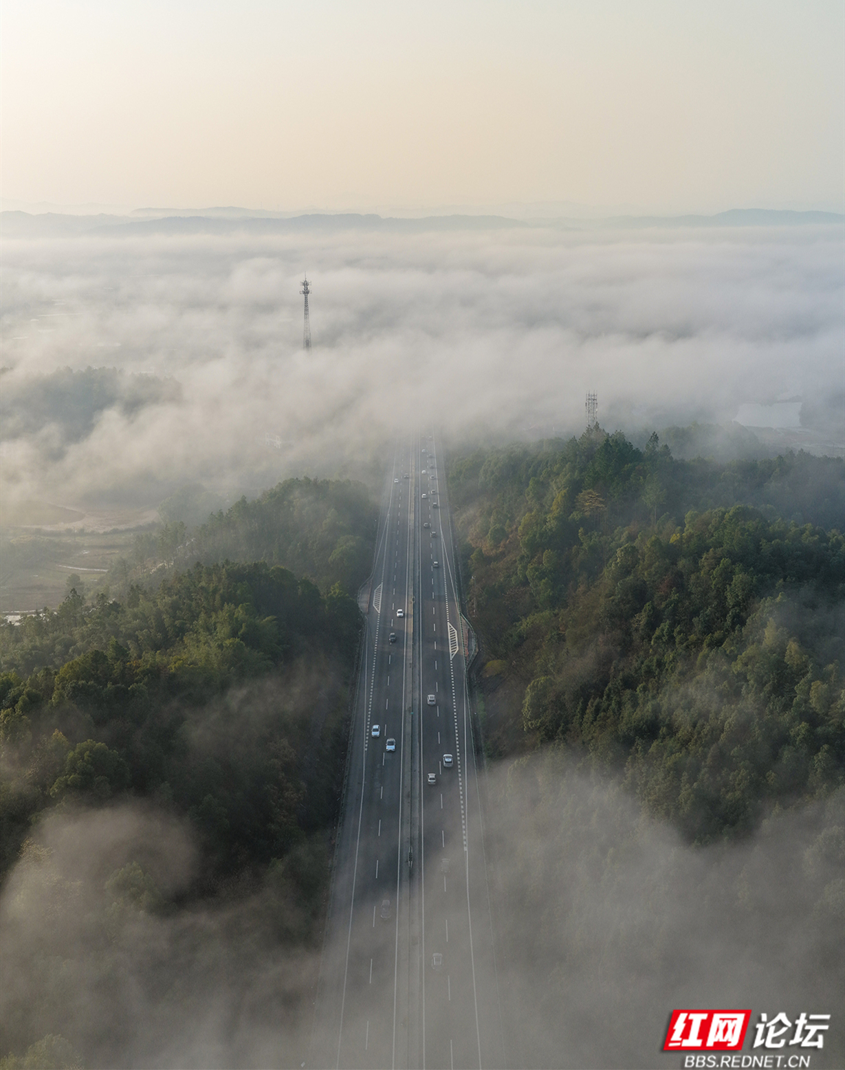 微信图片_20260223193235_41_113 拷贝.jpg