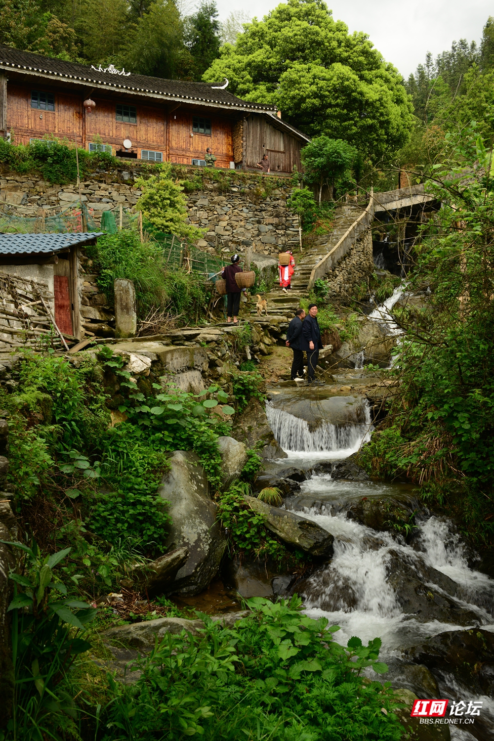 13 山泉流进百姓家.jpg