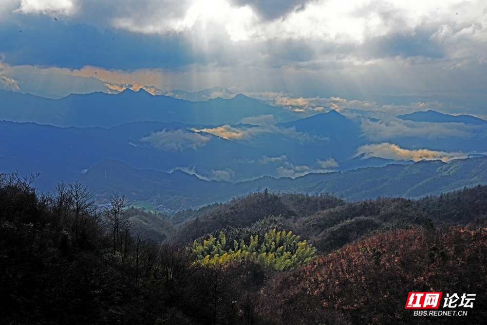 09  金山流光溢彩.jpg