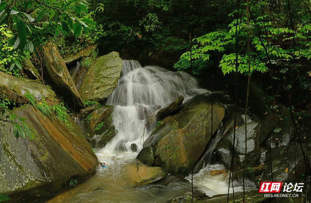 14 白玉村山泉.jpg