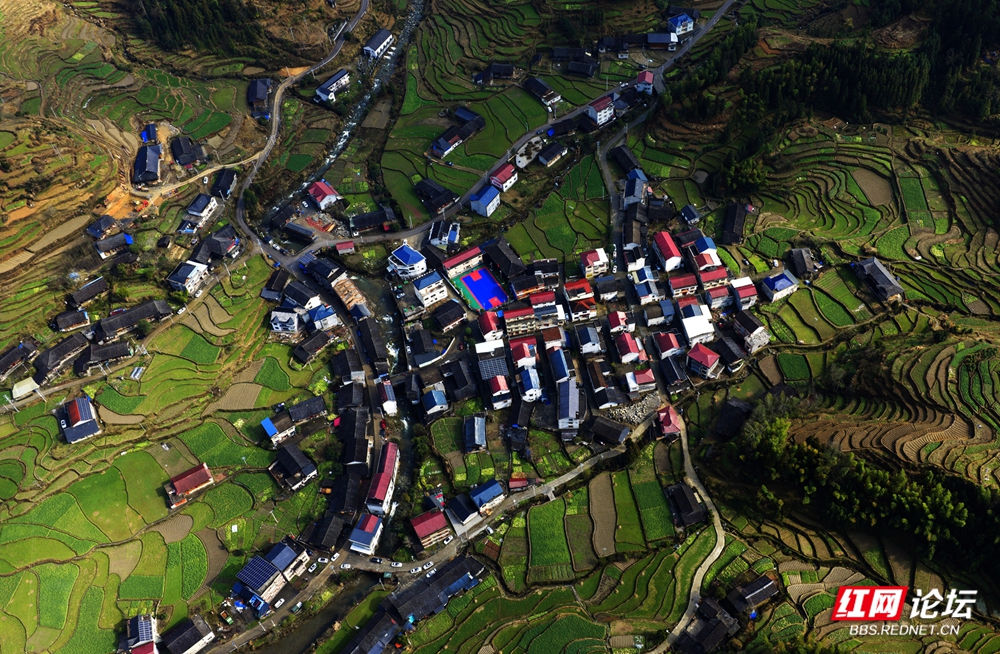 19 鸟瞰上尚村.jpg