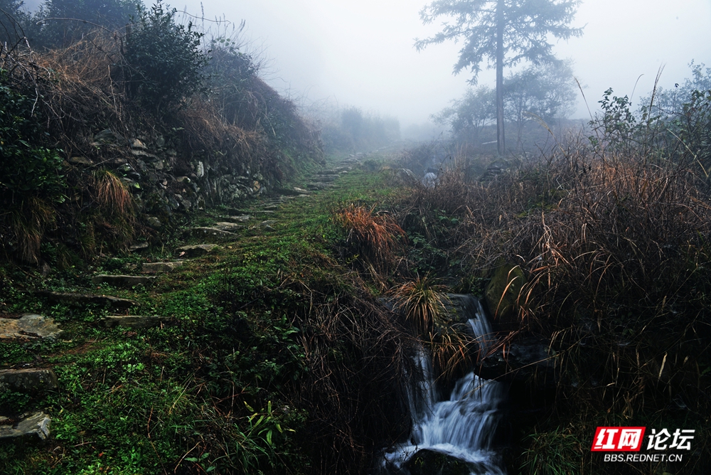 05 见证苍桑红军路.jpg