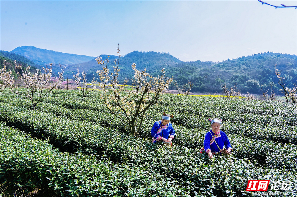 nEO_IMG__DSC8940 拷贝.jpg