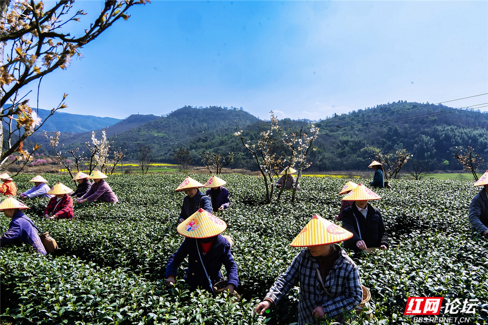 nEO_IMG__DSC8887 拷贝.jpg