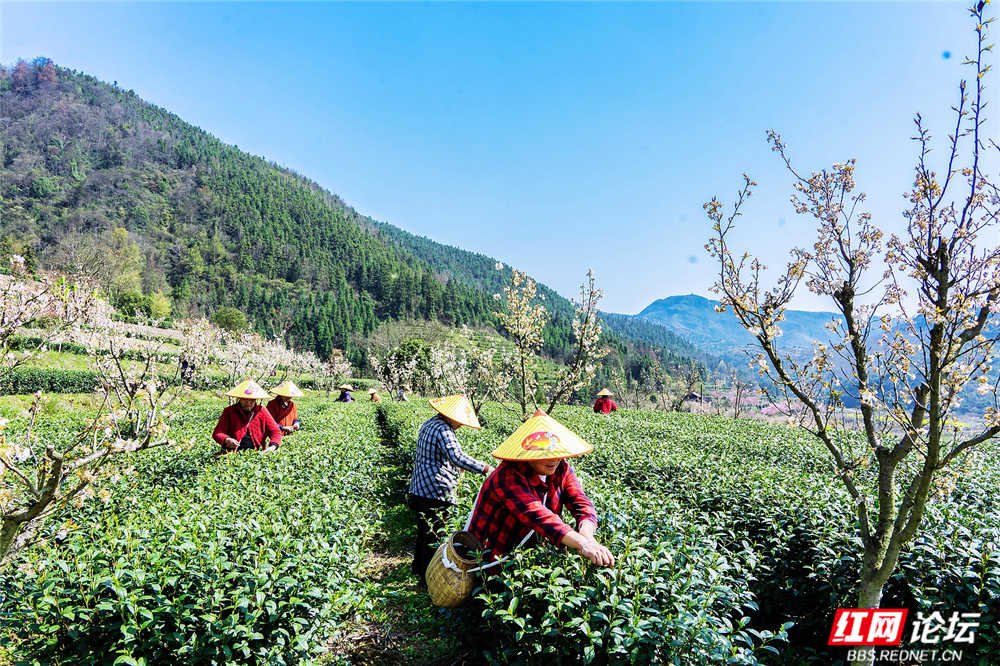 nEO_IMG__DSC9022 拷贝.jpg