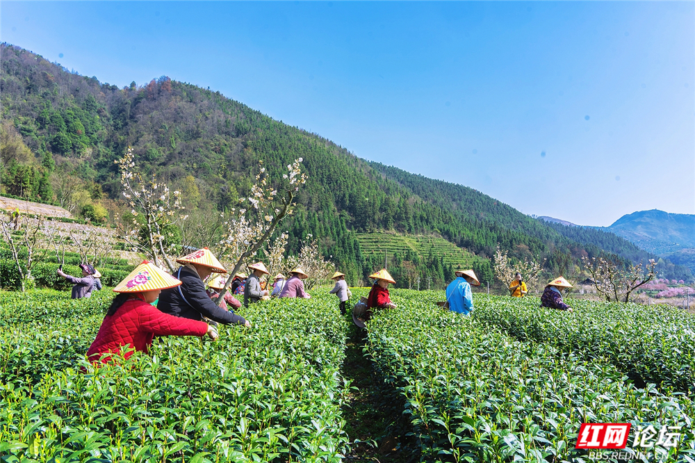 nEO_IMG__DSC8913 拷贝.jpg