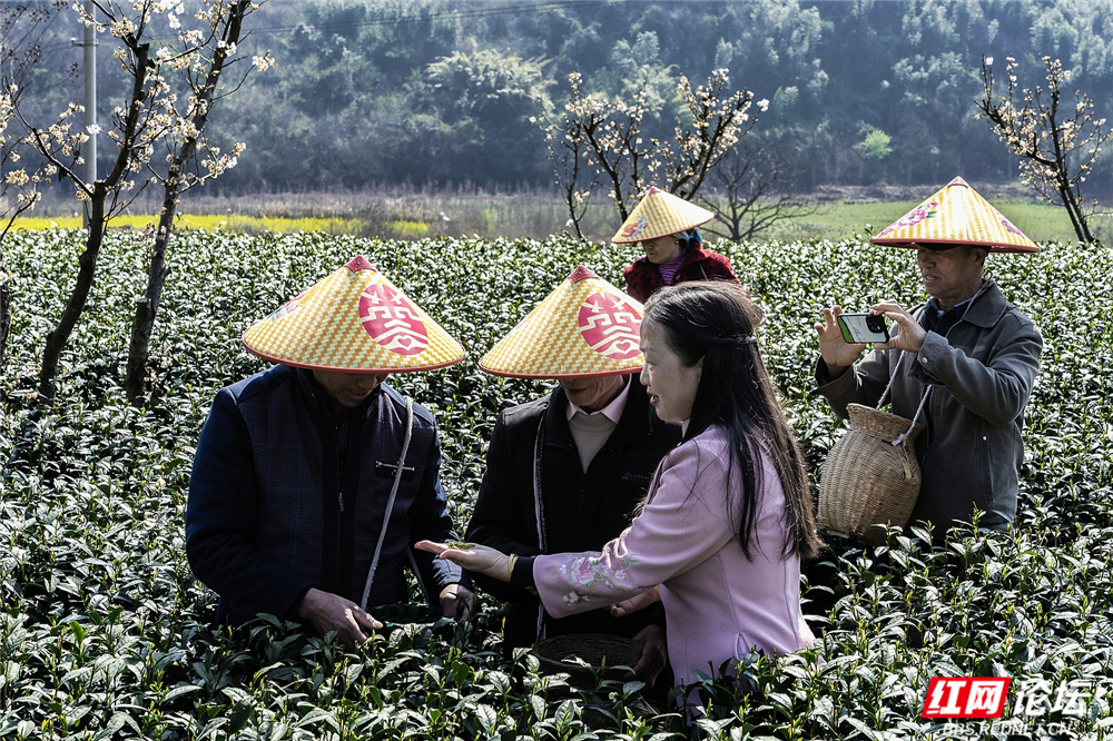 nEO_IMG__DSC8896 拷贝.jpg