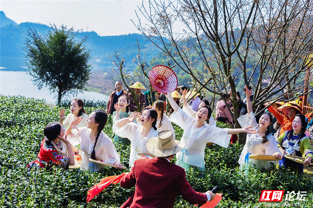 nEO_IMG__DSC8744 拷贝.jpg