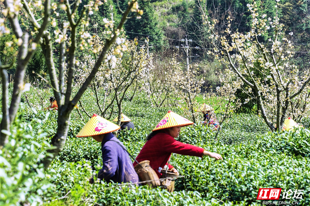 nEO_IMG__DSC8947 拷贝.jpg