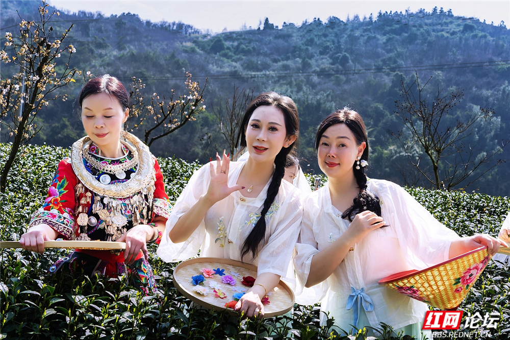 nEO_IMG__DSC8838 拷贝.jpg