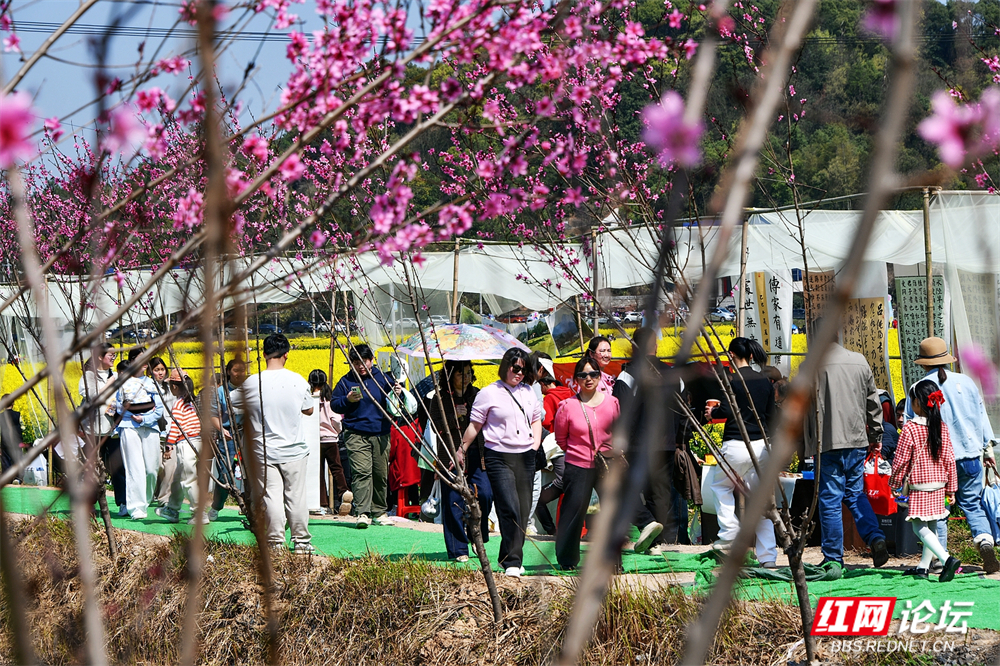 nEO_IMG_DSC_6922.jpg nEO_IMG_DSC_6922.jpg