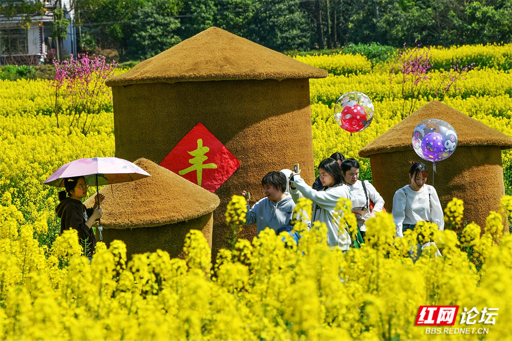 nEO_IMG_DSC_6970.jpg nEO_IMG_DSC_6970.jpg