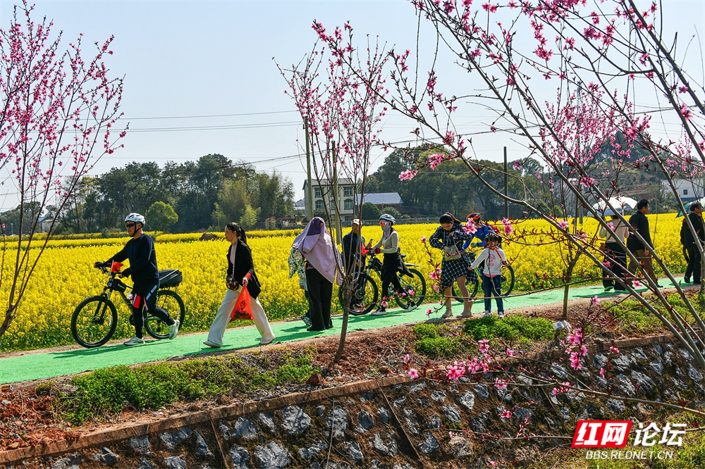 nEO_IMG_DSC_6855.jpg nEO_IMG_DSC_6855.jpg