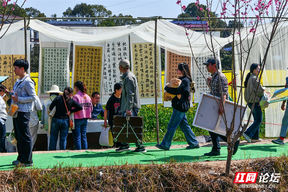 nEO_IMG_DSC_6890.jpg nEO_IMG_DSC_6890.jpg