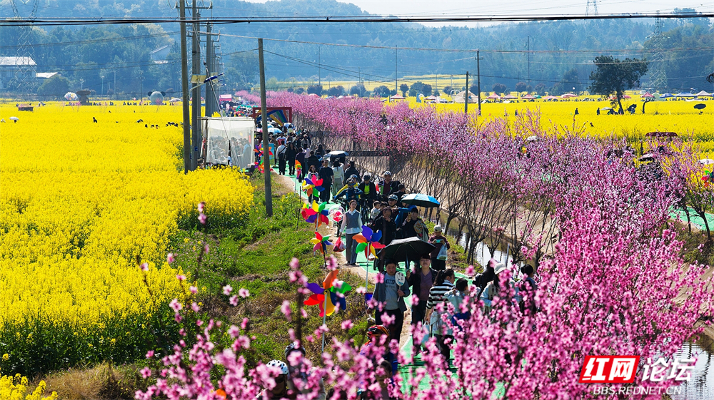 nEO_IMG_微信图片_20260314202112_364_315.jpg nEO_IMG_微信图片_20260314202112_364_315.jpg