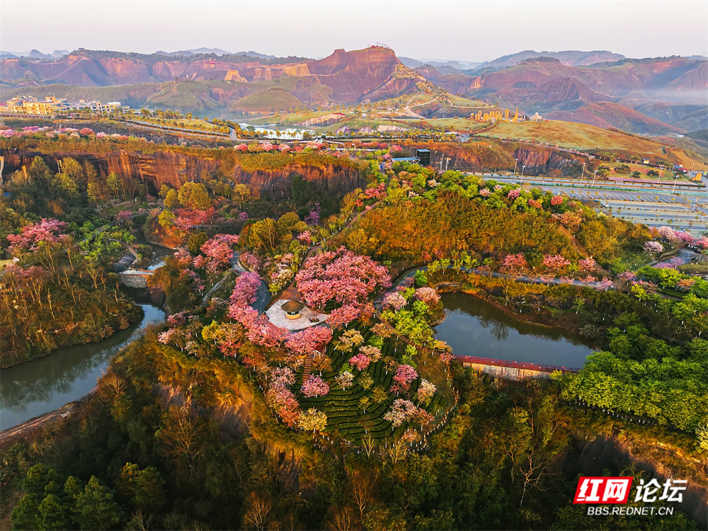 nEO_IMG_DJI_20260314070052_0032_D 拷贝.jpg