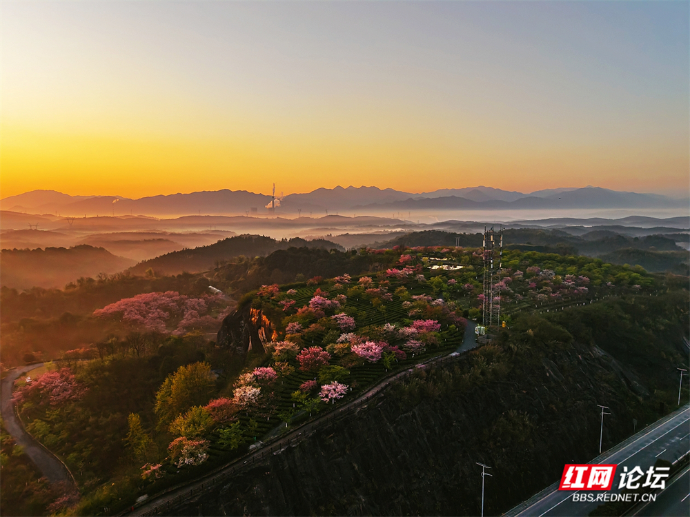 nEO_IMG_DJI_20260314065344_0011_D 拷贝.jpg