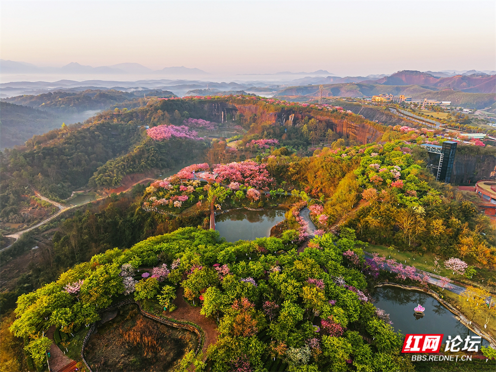 nEO_IMG_DJI_20260314065848_0026_D 拷贝.jpg