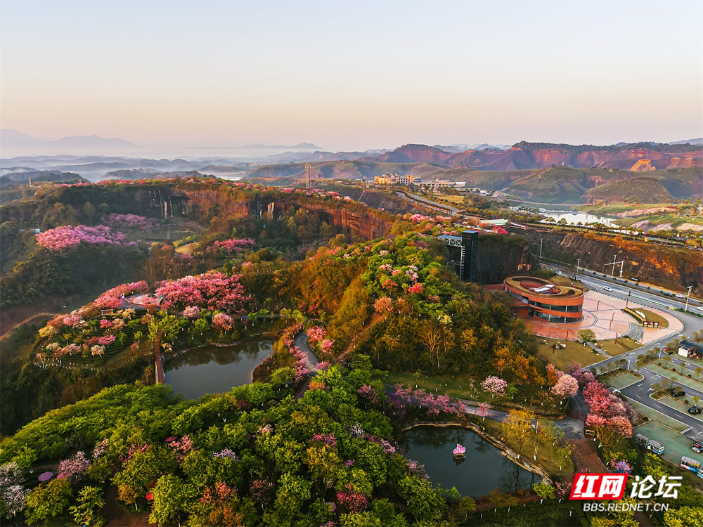 nEO_IMG_DJI_20260314065832_0024_D 拷贝.jpg