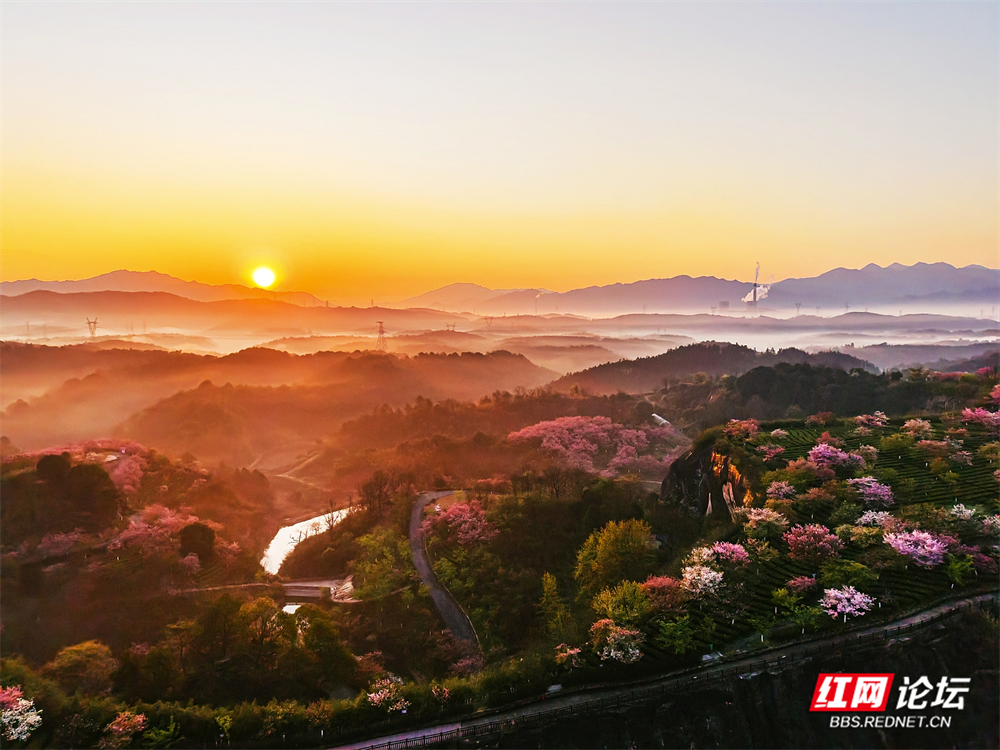 nEO_IMG_DJI_20260314065347_0012_D 拷贝.jpg