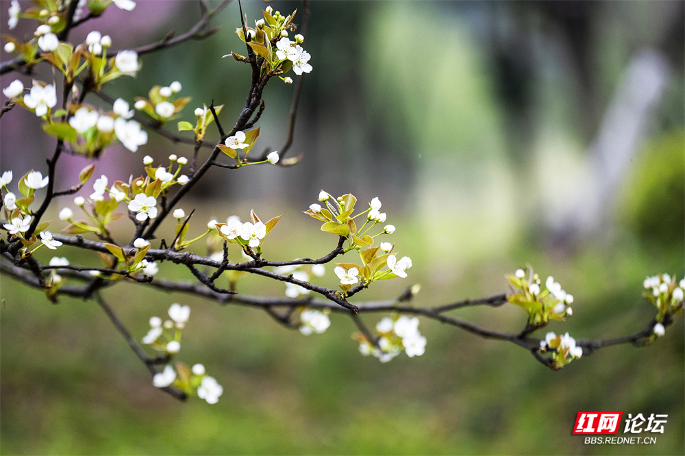 nEO_IMG_DSC05998a 拷贝.jpg