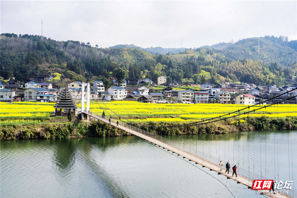 nEO_IMG_DSC02605 拷贝.jpg