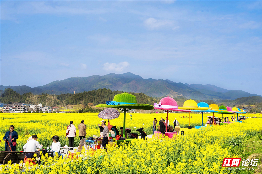 nEO_IMG_DSC02856 拷贝.jpg