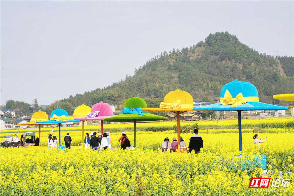 nEO_IMG_DSC02863 拷贝.jpg