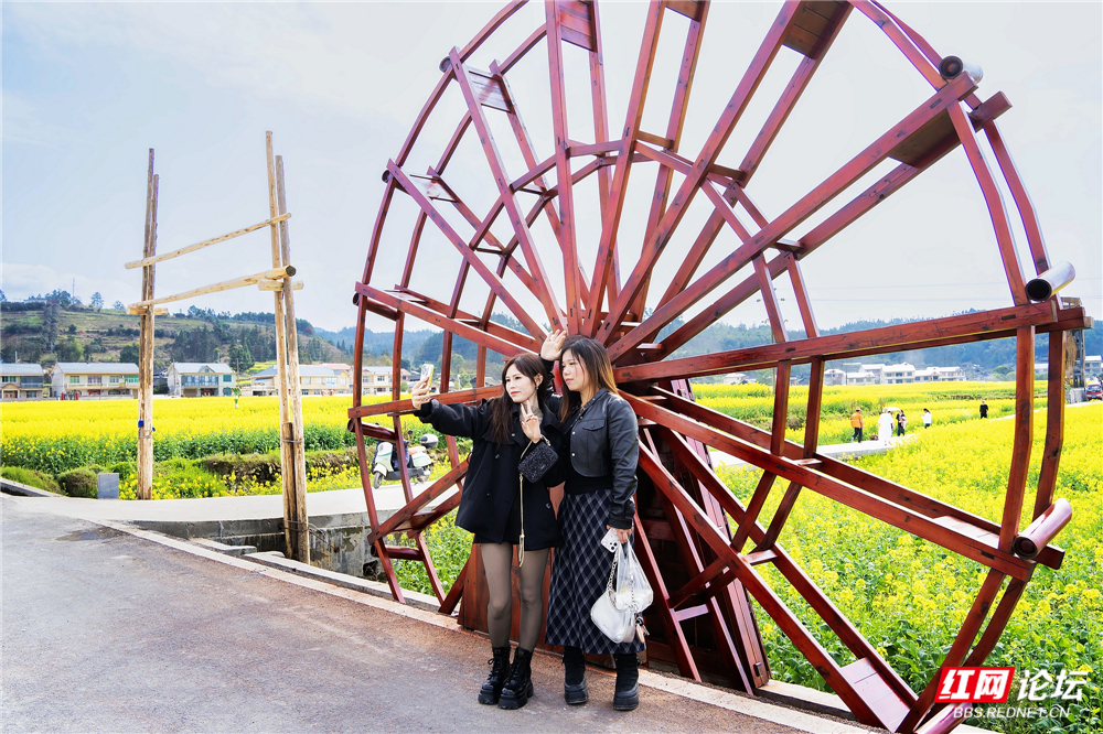 nEO_IMG_DSC02786 拷贝.jpg