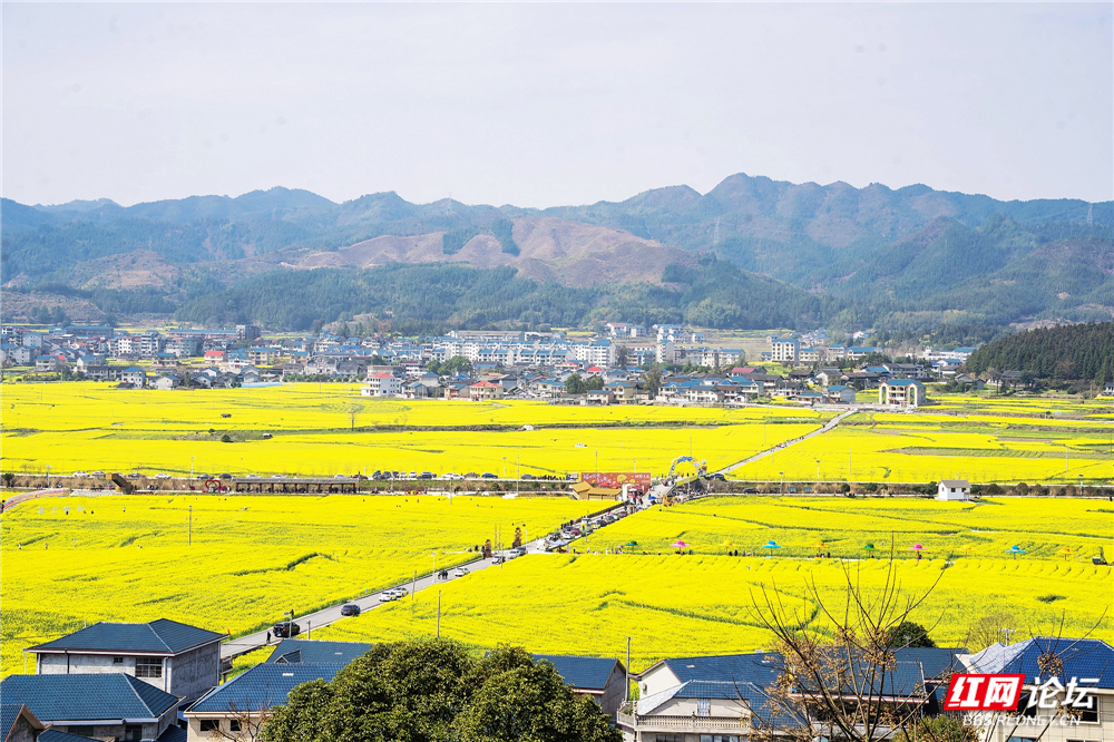 nEO_IMG_DSC02711 拷贝.jpg