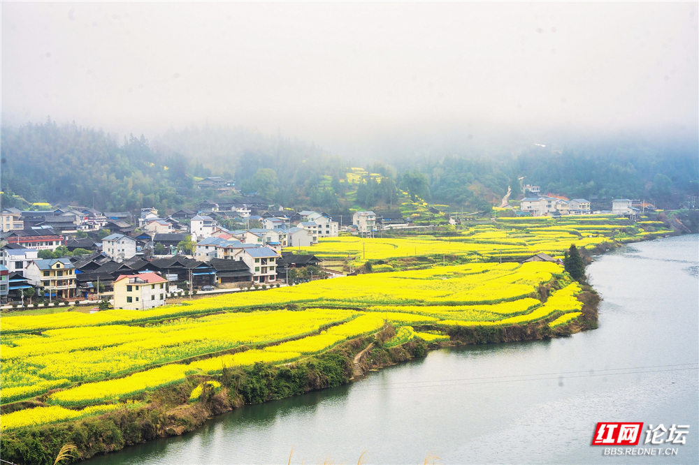 nEO_IMG_DSC02380 拷贝.jpg